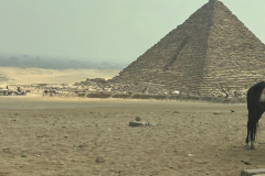 gospel-today-travel-egypt-1