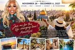 Holy-Land-Amethyst-leader