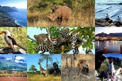 gospel-today-travel-south-africa-tour-1