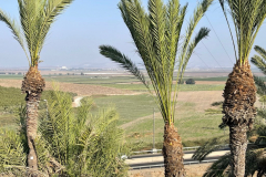 Israel-Trip-2022-114