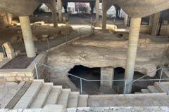 Israel-Trip-2022-1271