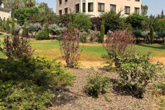 Israel-Trip-2022-141